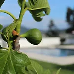 בית חווה Casa D'amares אמאריס