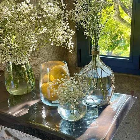 Casa D'amares * Amares