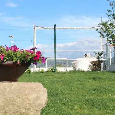 Casa D'amares Амариш