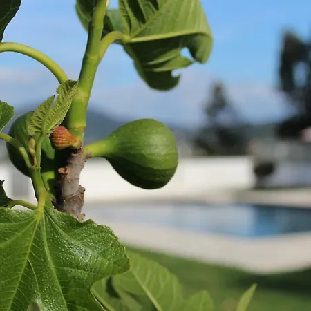 Farm stay Casa D'amares Amares