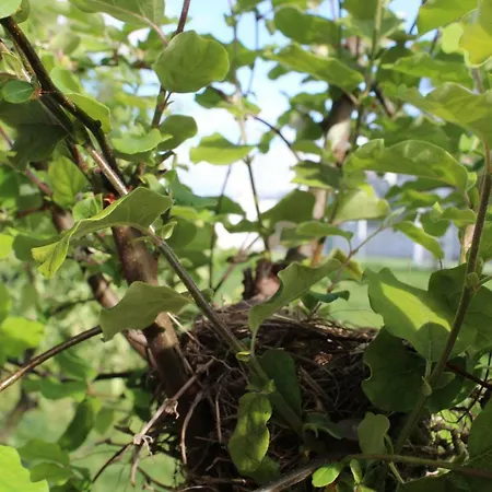 Casa D'amares Амариш