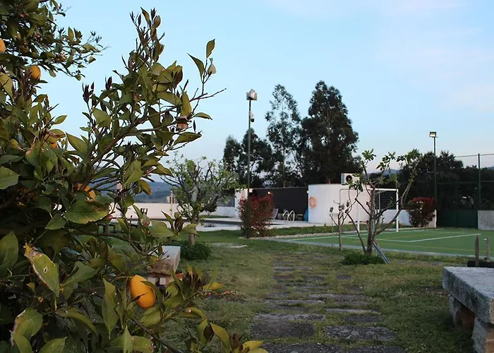 팜스테이 Casa D'amares *