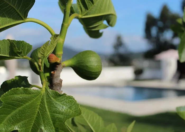 Farm stay Casa D'amares Amares