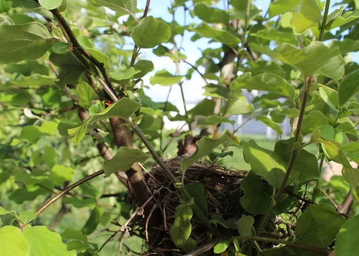 Casa D'amares Amares